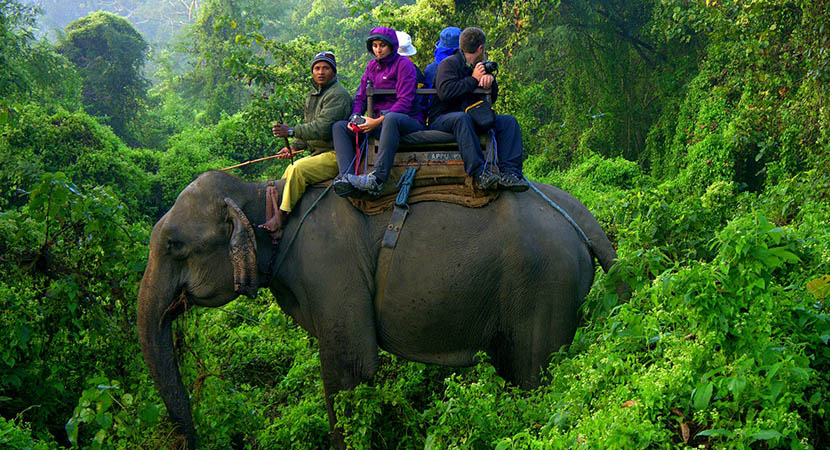 corbett national park