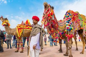 pushkar camel fair 2020