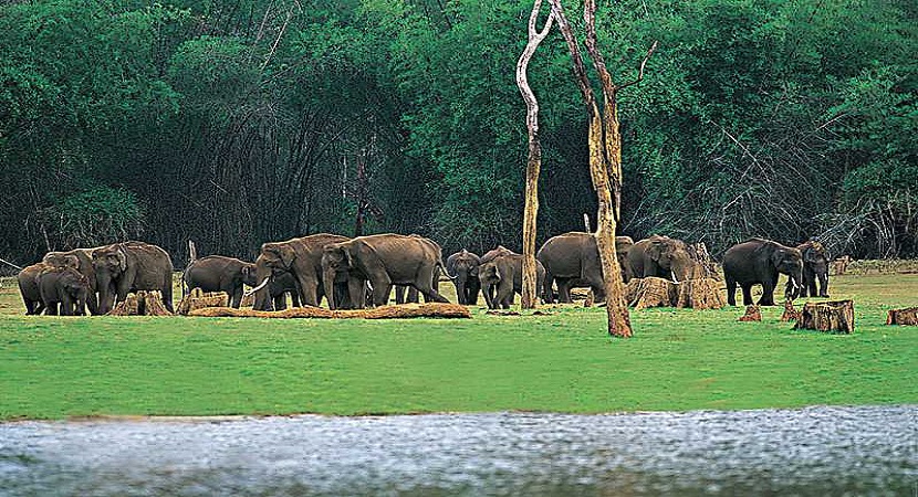 5 Days - Jim Corbett Tour